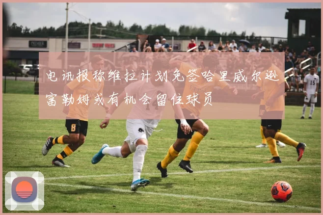电讯报称维拉计划免签哈里威尔逊富勒姆或有机会留住球员